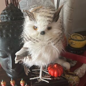 Feathery owl nwt really cool in person feathers are so pretty
